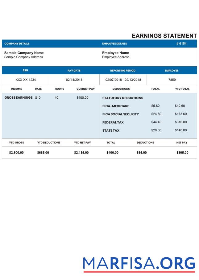 Printable Darkblue pay stub real example